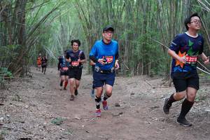 BIB: 234, 2278, 12512
                            <button type="button" onclick="openModal(4124530)" class="btn btn-primary btn-sm float-right btn-popup" data-toggle="modal" data-target=".modal-high-quality">
                        <i class="fas fa-shopping-cart"></i> Add to Cart
                    </button>
                                            <button type="button" onclick="isThisMe(4124530, true)" class="btn btn-success btn-sm float-right btn-popup btn-isme hidden" data-toggle="tooltip" data-placement="bottom" title="นี่คือรูปของคุณใช่ไหม คลิกที่นี่เพื่อเอาเข้าอัลบั้ม">
                        <i class="fas fa-plus"></i> Add to album
                    </button>
                    <button type="button" onclick="isThisMe(4124530, false)" class="btn btn-warning btn-sm float-right btn-popup btn-isnotme hidden">
                        <i class="fas fa-ban"></i> Remove from album
                    </button>